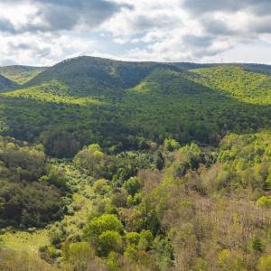 Photo #5 of 161 GLOVER RUN, GOSHEN, VA 64.1 acres