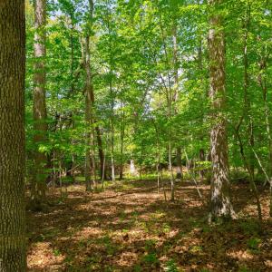 Photo #2 of TBD KESWICK LN, KESWICK, VA 3.0 acres