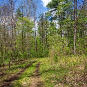Photo #2 of CHURCH MOUNTAIN LN, FULKS RUN, VA 16.0 acres