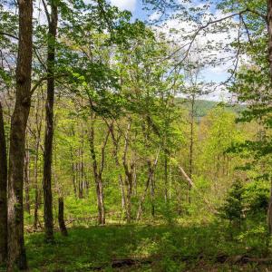 Photo #1 of CHURCH MOUNTAIN LN, FULKS RUN, VA 16.0 acres