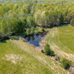 Photo #55 of CEDAR PLAINS RD, SANDY HOOK, VA 95.2 acres