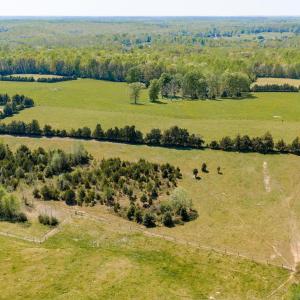 Photo #33 of CEDAR PLAINS RD, SANDY HOOK, VA 95.2 acres