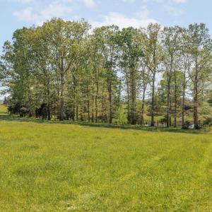 Photo #42 of CEDAR PLAINS RD, SANDY HOOK, VA 95.2 acres