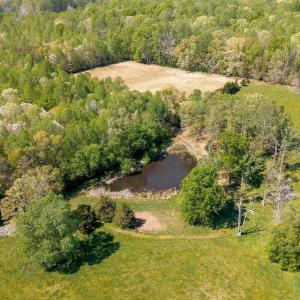 Photo #41 of CEDAR PLAINS RD, SANDY HOOK, VA 95.2 acres