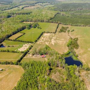 Photo #1 of CEDAR PLAINS RD, SANDY HOOK, VA 95.2 acres