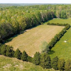 Photo #54 of CEDAR PLAINS RD, SANDY HOOK, VA 95.2 acres