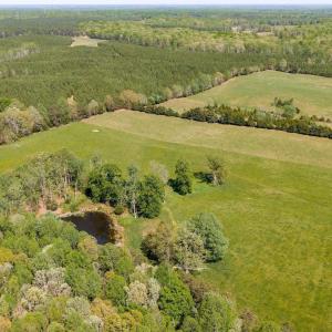 Photo #40 of CEDAR PLAINS RD, SANDY HOOK, VA 95.2 acres