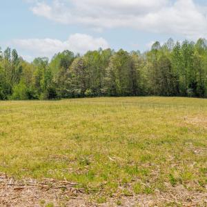 Photo #49 of CEDAR PLAINS RD, SANDY HOOK, VA 95.2 acres
