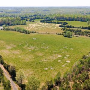 Photo #32 of CEDAR PLAINS RD, SANDY HOOK, VA 95.2 acres