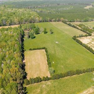 Photo #53 of CEDAR PLAINS RD, SANDY HOOK, VA 95.2 acres