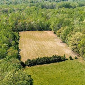 Photo #47 of CEDAR PLAINS RD, SANDY HOOK, VA 95.2 acres