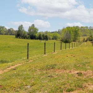 Photo #38 of CEDAR PLAINS RD, SANDY HOOK, VA 95.2 acres