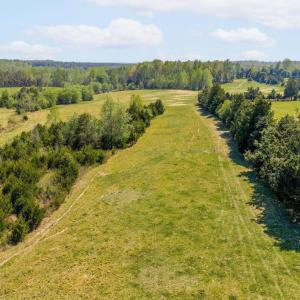 Photo #34 of CEDAR PLAINS RD, SANDY HOOK, VA 95.2 acres