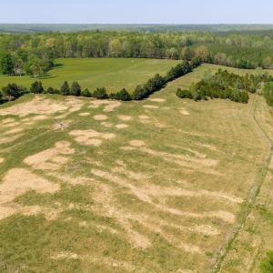 Photo #18 of CEDAR PLAINS RD, SANDY HOOK, VA 95.2 acres