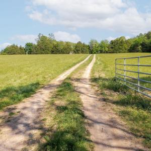 Photo #5 of TBD CEDAR PLAINS RD, SANDY HOOK, VA 95.2 acres