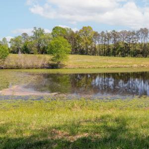 Photo #21 of TBD CEDAR PLAINS RD, SANDY HOOK, VA 95.2 acres