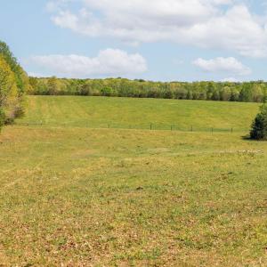 Photo #28 of TBD CEDAR PLAINS RD, SANDY HOOK, VA 95.2 acres