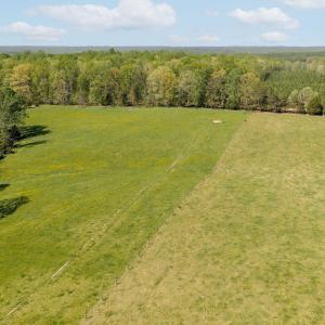 Photo #35 of TBD CEDAR PLAINS RD, SANDY HOOK, VA 95.2 acres