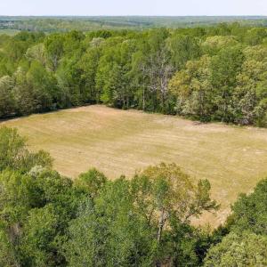 Photo #48 of TBD CEDAR PLAINS RD, SANDY HOOK, VA 95.2 acres