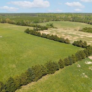 Photo #37 of TBD CEDAR PLAINS RD, SANDY HOOK, VA 95.2 acres