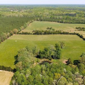 Photo #39 of TBD CEDAR PLAINS RD, SANDY HOOK, VA 95.2 acres