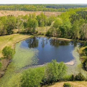 Photo #20 of TBD CEDAR PLAINS RD, SANDY HOOK, VA 95.2 acres