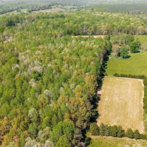 Photo #52 of TBD CEDAR PLAINS RD, SANDY HOOK, VA 95.2 acres