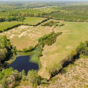 Photo #19 of TBD CEDAR PLAINS RD, SANDY HOOK, VA 95.2 acres