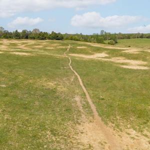 Photo #16 of TBD CEDAR PLAINS RD, SANDY HOOK, VA 95.2 acres
