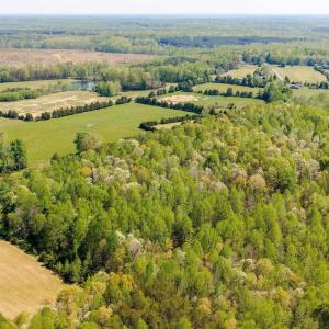 Photo #50 of TBD CEDAR PLAINS RD, SANDY HOOK, VA 95.2 acres
