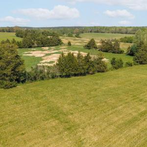 Photo #8 of TBD CEDAR PLAINS RD, SANDY HOOK, VA 95.2 acres