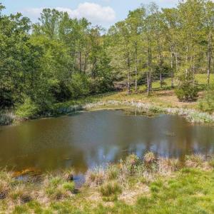 Photo #43 of TBD CEDAR PLAINS RD, SANDY HOOK, VA 95.2 acres