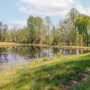 Photo #22 of TBD CEDAR PLAINS RD, SANDY HOOK, VA 95.2 acres