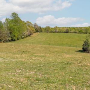Photo #29 of TBD CEDAR PLAINS RD, SANDY HOOK, VA 95.2 acres