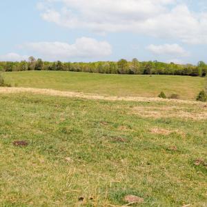 Photo #27 of TBD CEDAR PLAINS RD, SANDY HOOK, VA 95.2 acres