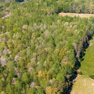 Photo #51 of TBD CEDAR PLAINS RD, SANDY HOOK, VA 95.2 acres