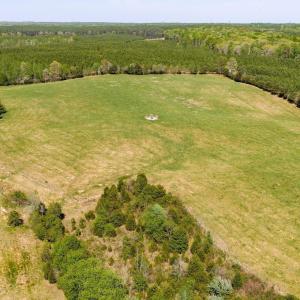 Photo #31 of TBD CEDAR PLAINS RD, SANDY HOOK, VA 95.2 acres