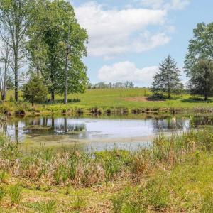 Photo #44 of TBD CEDAR PLAINS RD, SANDY HOOK, VA 95.2 acres