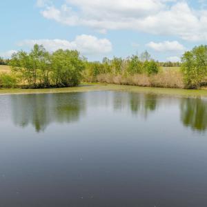 Photo #26 of TBD CEDAR PLAINS RD, SANDY HOOK, VA 95.2 acres