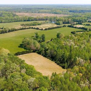 Photo #46 of TBD CEDAR PLAINS RD, SANDY HOOK, VA 95.2 acres