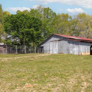 Photo #12 of TBD CEDAR PLAINS RD, SANDY HOOK, VA 95.2 acres