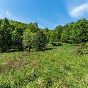 Photo #28 of 2255 BOONESVILLE RD, DYKE, VA 138.0 acres