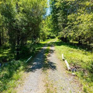 Photo #24 of 2255 BOONESVILLE RD, DYKE, VA 138.0 acres