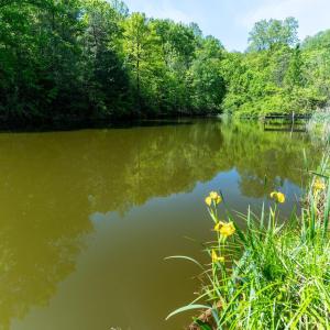 Photo #32 of 2255 BOONESVILLE RD, DYKE, VA 138.0 acres