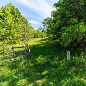 Photo #34 of 2255 BOONESVILLE RD, DYKE, VA 138.0 acres