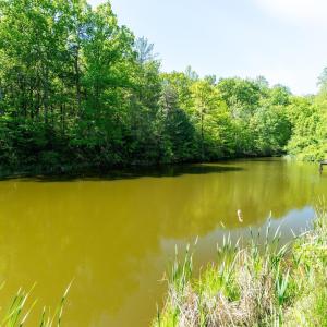 Photo #31 of 2255 BOONESVILLE RD, DYKE, VA 138.0 acres