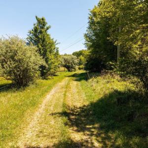 Photo #23 of 2255 BOONESVILLE RD, DYKE, VA 138.0 acres