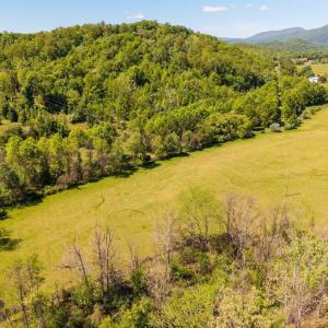 Photo #20 of 2255 BOONESVILLE RD, DYKE, VA 138.0 acres