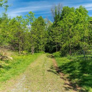 Photo #33 of 2255 BOONESVILLE RD, DYKE, VA 138.0 acres