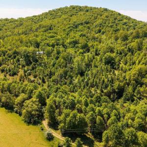 Photo #1 of 2255 BOONESVILLE RD, DYKE, VA 138.0 acres